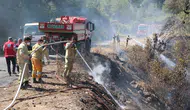Alanya'da ormanlık alanda yangın paniği