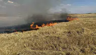 Çorum Alaca’da 150 dönüm arazi küle döndü