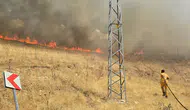Silvan kırsalındaki örtü yangını ekiplerin hızlı müdahalesiyle söndürüldü