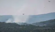 Muğla Menteşe'de orman yangını alarmı