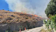 Bodrum'un Akyarlar Mahallesi'nde maki yangını Alevler 1 saatte söndürüldü
