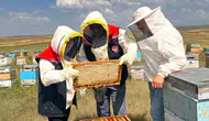Karslı arıcılara sahada teknik destek seferberliği