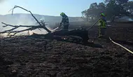 Balıkesir itfaiyesi temmuz ayında bin 521 kez yardıma koştu