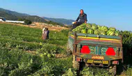 Manisalı çiftçi aracıları aradan çıkardı kazancını ikiye katladı