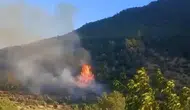 İslahiye ormanlarında kısa süreli yangın paniği