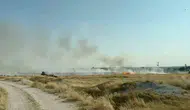 Eskişehir’de kuş kaynaklı yangın paniği