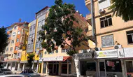 Manavgat'ta devrilen ağaç trafiği kilitledi