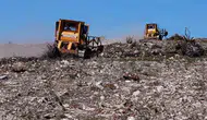 Aliağa ve Foça ormanları 1 milyon yeni fidanla canlanıyor