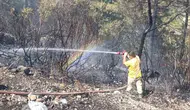Alanya’da çıkan orman yangını üç saatte söndürüldü