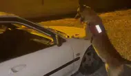 Bartın'da otomobilin kaputuna gizlenmiş uyuşturucu operasyonu