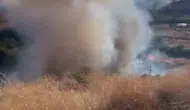Tekirdağ Barbaros'ta orman yangını 80 dekarı küle çevirdi