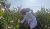 Bakan Göktaş Düzce'de genç girişimcinin bahçesini ziyaret etti
