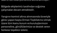 Çanakkale Bayramiç’teki orman yangını kontrol altına alındı