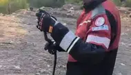 Bahar geldi, yılanlar şehre indi Hatay’da ekipler sahada