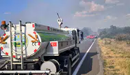 Edirne Meriç'te orman yangını paniği kontrol altına alındı