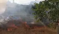 Bahçeye sıçrayan yangın meyve fidanlarını küle çevirdi