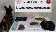 Muğla jandarması Temmuz ayında kaçakçılara göz açtırmadı