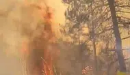 Alanya ormanlarında öğle saatlerinde yangın paniği