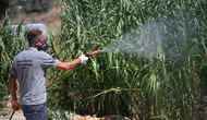 Kuşadası sokaklarında sinek ve haşere mesaisi