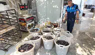 Mersin'de zehirli midye operasyonu 200 kilo ürüne el konuldu