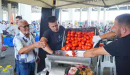Ayvalık'ta salça mesaisi ücretsiz makinelerle hızlanıyor