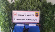 Osmaniye jandarmasından bir haftalık asayiş bilançosu