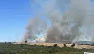 Gebze'de orman yangını havadan ve karadan müdahaleyle söndürüldü