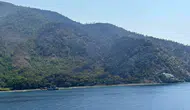 Marmaris orman yangınında korkulan olmadı
