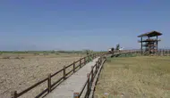 Kayseri'nin doğa hazinesi Sultan Sazlığı için koruma çağrısı