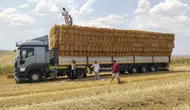 Tekirdağlı çiftçi Aydın’daki yangın mağdurlarına el uzattı