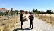 Yozgat'ta kaybolan 15 koyun jandarmanın takibiyle bulundu