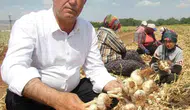 Arabanlı çiftçinin belini büken sorunlara acil çözüm çağrısı