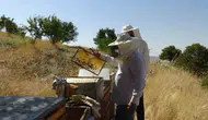 Gercüş'ün dağlarında bal bereketi başladı