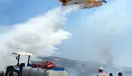 Balıkesir Susurluk’ta orman yangını 22 saat sonra söndürüldü