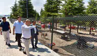 Altıeylül’de sokak hayvanları için yeni dönem çağrısı