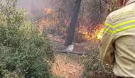 Buca'da orman yangını başladı