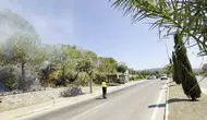 Erdek’te yol kenarında başlayan yangın ormana sıçramadan söndürüldü