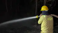 Rüzgarın iki ilçeye taşıdığı alevlerde kritik gelişme 13. saatte enerji düştü