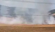 İnegöl'de tarlayı ateşe veren çocuk yakalandı