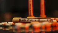 Ebola alarmı: DSÖ'den kritik uyarı geldi, risk seviyesi zirveye taşındı