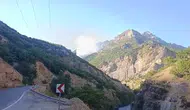 Munzur Vadisi ormanlarında alevlerle mücadele zamanı