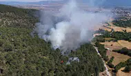 Bolu ormanlarındaki yangın paniği kontrol altına alındı