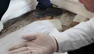 Hatay'da fırın baskını Fare yuvası ve paslı keser çıktı
