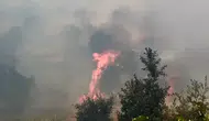 Lice kırsalında 400 dönümlük arazi alevlere teslim oldu