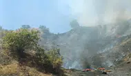 Adıyaman'da çöplük yangını ormana sıçradı