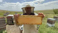 Kars yaylalarında bal hasadı başladı Fiyatlar 2 bin 500 liraya ulaştı