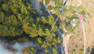Antalya ormanlarında iki ayrı noktada yangın alarmı