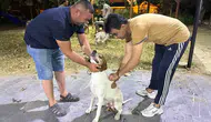 Sarıgöl'de av köpekleri için kuduz aşısı dönemi