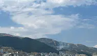 Kahramanmaraş'ta orman yangını korkuttu