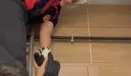 Çankırı'da asma tavanın içine sıkışan kedileri itfaiye kurtardı